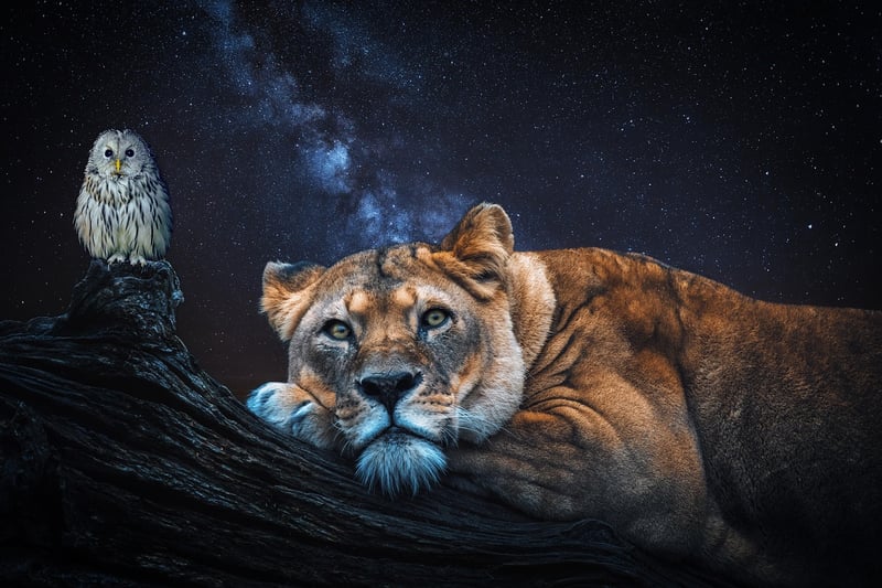 Fantasy worlds