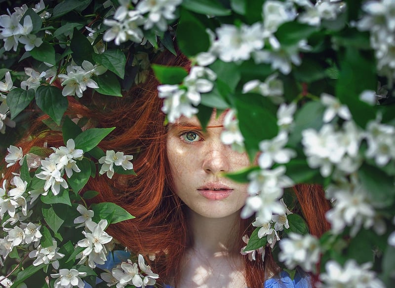 Whimsical botanicals